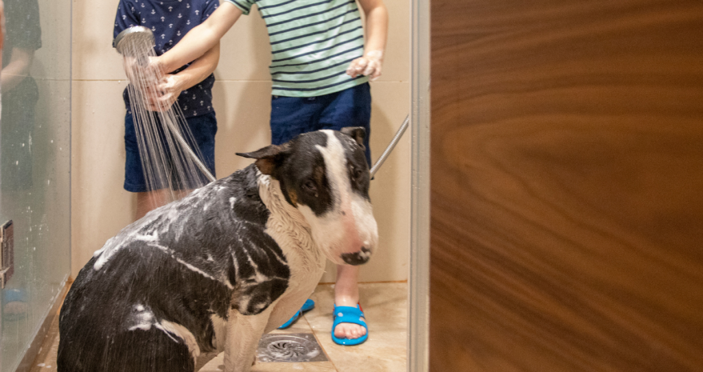 Dog wash at home South Melbourne