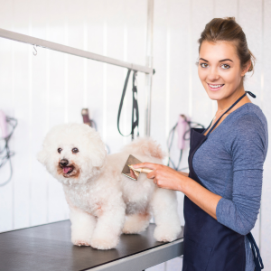 Happy Dog Groomer South Melbourne